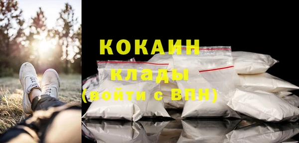 мяу мяу мука Новозыбков