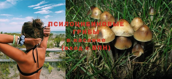 мяу мяу мука Новозыбков