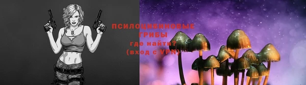 ALPHA PVP Нягань