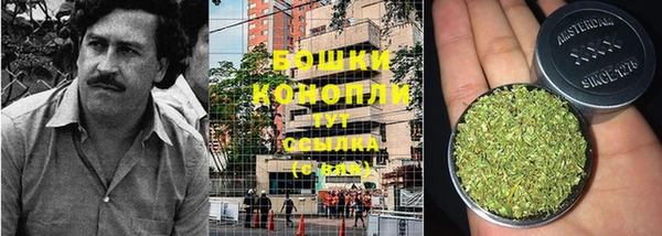 мдма Новодвинск
